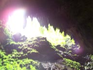 Las Cuevas de Camuy Caves of Camuey Puerto Rico